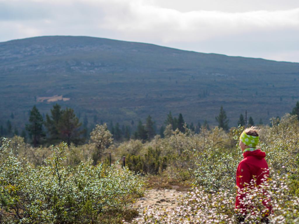 °FELL CENTRE KIILOPAA, HOTELLI NIILANPAA SAARISELKÄ 2* (Finlande) - de ...